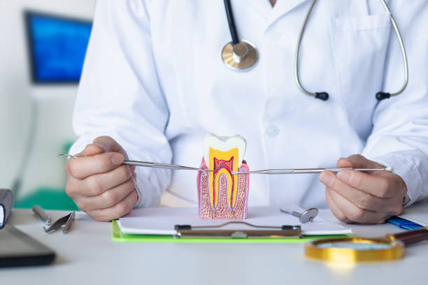 Best Knocked-Out Tooth (Avulsed Tooth) Treatment in Royse City, TX